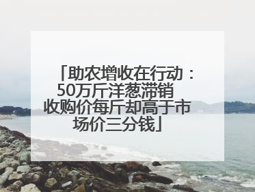 助农增收在行动：50万斤洋葱滞销 收购价每斤却高于市场价三分钱