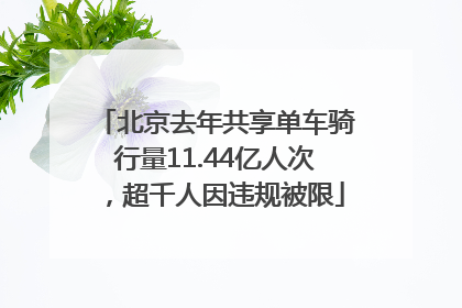 北京去年共享单车骑行量11.44亿人次，超千人因违规被限