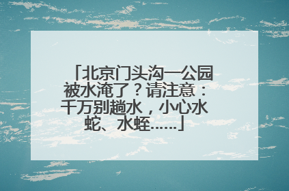 北京门头沟一公园被水淹了？请注意：千万别趟水，小心水蛇、水蛭……