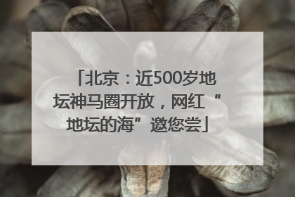 北京：近500岁地坛神马圈开放，网红“地坛的海”邀您尝