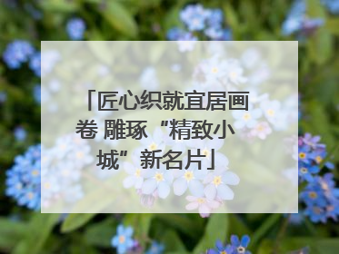 匠心织就宜居画卷 雕琢“精致小城”新名片