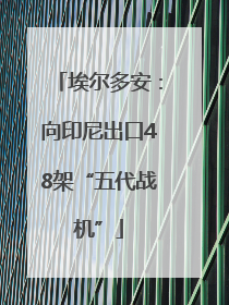 埃尔多安：向印尼出口48架“五代战机”