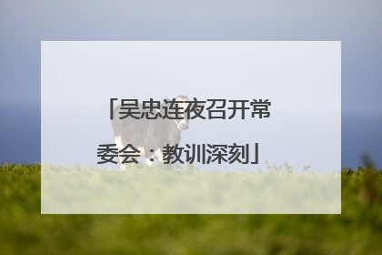 吴忠连夜召开常委会：教训深刻