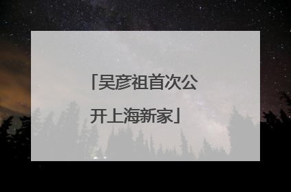 吴彦祖首次公开上海新家