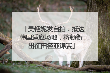 吴艳妮发自拍：抵达韩国适应场地，将领衔出征田径亚锦赛