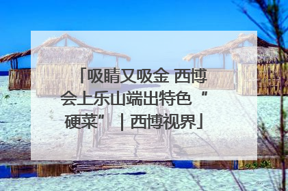 吸睛又吸金 西博会上乐山端出特色“硬菜”｜西博视界