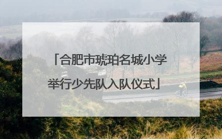 合肥市琥珀名城小学举行少先队入队仪式
