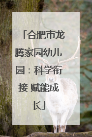 合肥市龙腾家园幼儿园：科学衔接 赋能成长