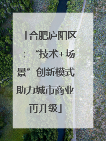 合肥庐阳区：“技术+场景”创新模式助力城市商业再升级