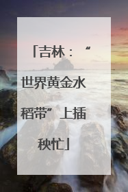 吉林：“世界黄金水稻带”上插秧忙