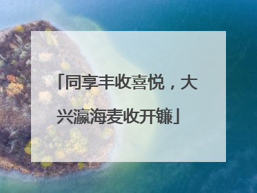 同享丰收喜悦，大兴瀛海麦收开镰