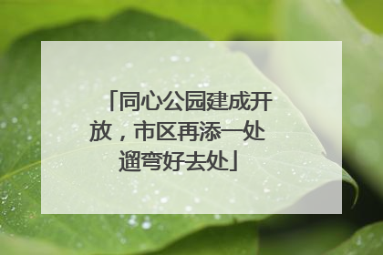 同心公园建成开放，市区再添一处遛弯好去处