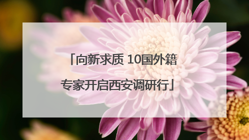 向新求质 10国外籍专家开启西安调研行
