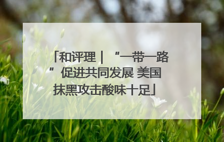 和评理｜“一带一路”促进共同发展 美国抹黑攻击酸味十足