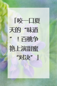 咬一口夏天的“味道”！百桃争艳上演甜蜜“对决”