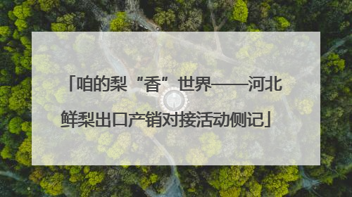 咱的梨“香”世界——河北鲜梨出口产销对接活动侧记