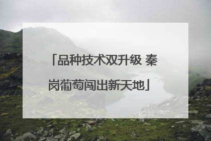品种技术双升级 秦岗葡萄闯出新天地