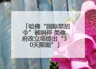 哈佛“国际禁招令”被叫停 美政府改立场提出“30天限期”