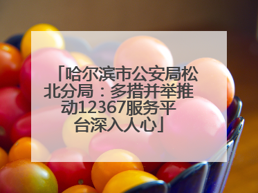 哈尔滨市公安局松北分局：多措并举推动12367服务平台深入人心