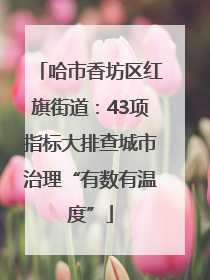哈市香坊区红旗街道：43项指标大排查城市治理“有数有温度”