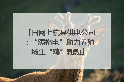 国网上杭县供电公司：“满格电”助力养殖场生“鸡”勃勃
