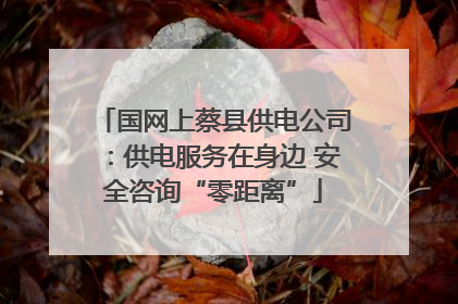 国网上蔡县供电公司：供电服务在身边 安全咨询“零距离”