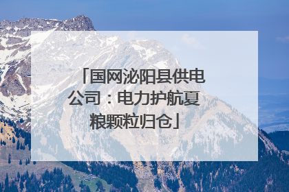 国网泌阳县供电公司：电力护航夏粮颗粒归仓