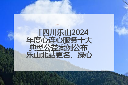 四川乐山2024年度心连心服务十大典型公益案例公布 乐山北站更名、绿心路井盖治理等上榜