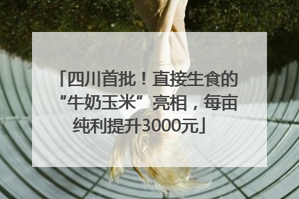 四川首批！直接生食的“牛奶玉米”亮相，每亩纯利提升3000元