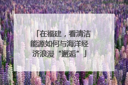 在福建，看清洁能源如何与海洋经济浪漫“邂逅”