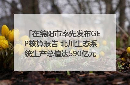 在绵阳市率先发布GEP核算报告 北川生态系统生产总值达590亿元｜新闻发布最前线