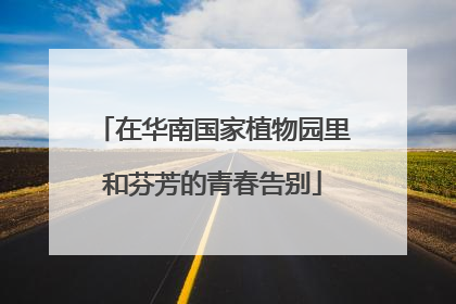 在华南国家植物园里和芬芳的青春告别
