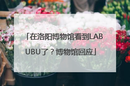 在洛阳博物馆看到LABUBU了？博物馆回应