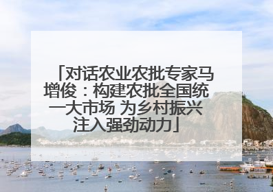 对话农业农批专家马增俊：构建农批全国统一大市场 为乡村振兴注入强劲动力