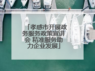 孝感市开展政务服务政策宣讲会 精准服务助力企业发展