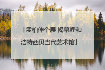 孟柏伸个展 揭幕呼和浩特西贝当代艺术馆