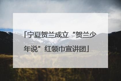 宁夏贺兰成立“贺兰少年说”红领巾宣讲团