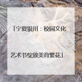 宁夏银川：校园文化艺术节绽放美育繁花