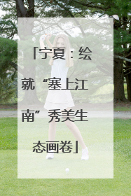 宁夏：绘就“塞上江南”秀美生态画卷