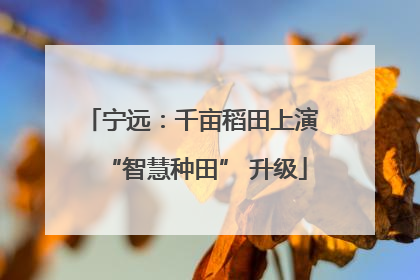 宁远：千亩稻田上演 “智慧种田” 升级