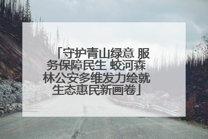 守护青山绿意 服务保障民生 蛟河森林公安多维发力绘就生态惠民新画卷