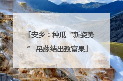 安乡：种瓜“新姿势” 吊藤结出致富果