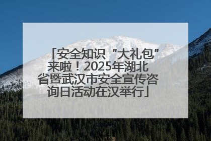 安全知识“大礼包”来啦！2025年湖北省暨武汉市安全宣传咨询日活动在汉举行