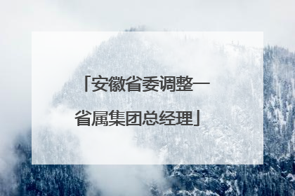 安徽省委调整一省属集团总经理