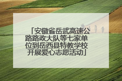 安徽省岳武高速公路路政大队等七家单位到岳西县特教学校开展爱心志愿活动