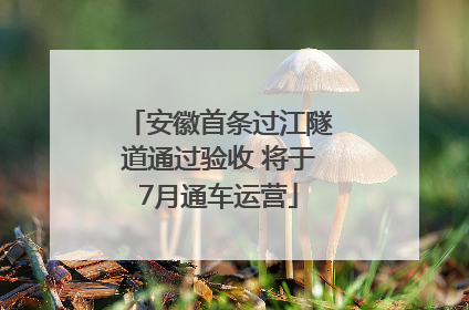 安徽首条过江隧道通过验收 将于7月通车运营