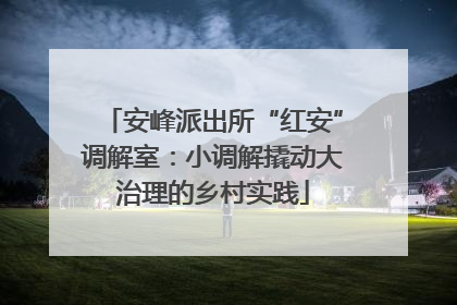 安峰派出所“红安”调解室：小调解撬动大治理的乡村实践