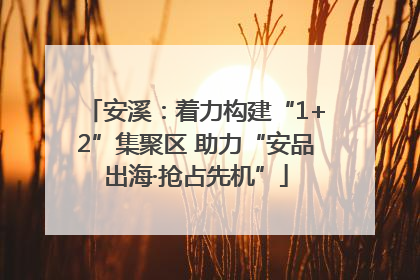 安溪：着力构建“1+2”集聚区 助力“安品出海·抢占先机”