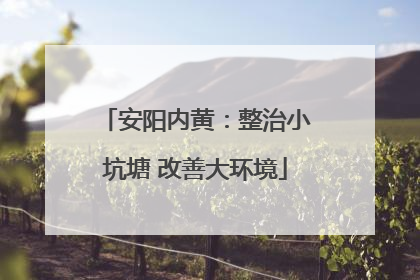安阳内黄：整治小坑塘 改善大环境