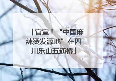 官宣！“中国麻辣烫发源地”在四川乐山五通桥